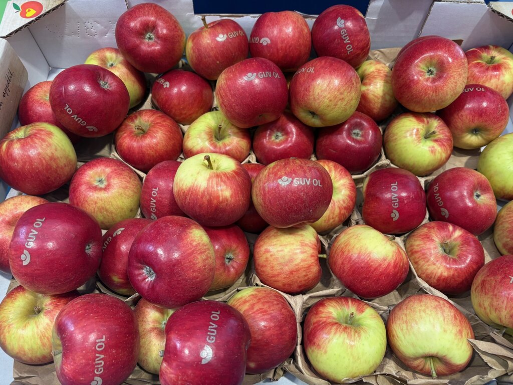 Äpfel mit Logoprägung des GUV OL