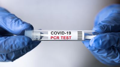 Zwei behandschuhte Hände halten einen PCR-Test