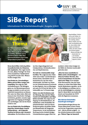 Titel Sibe-Report Ausgabe 3 2025